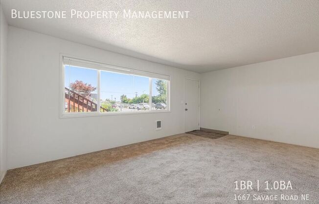 1667 SAVAGE RD NE