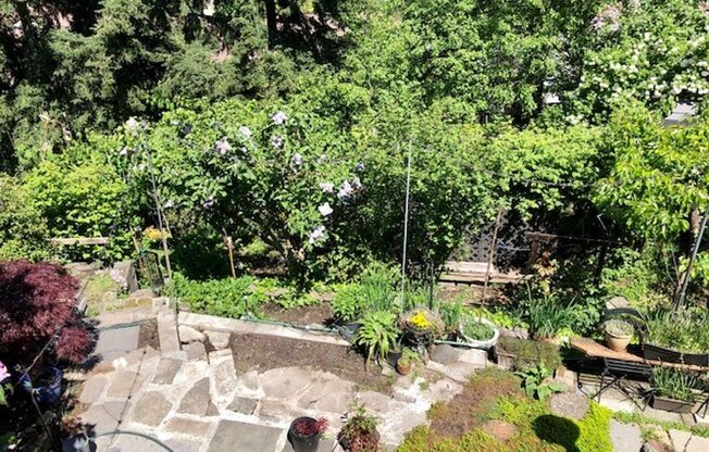 North Queen Anne Duplex