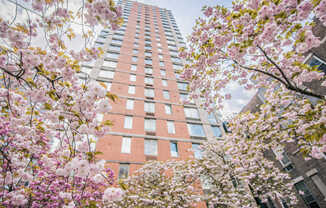 305 West 50th Street