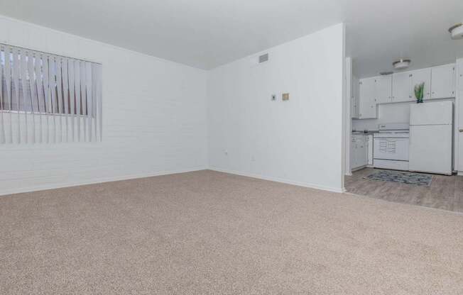 A room with a carpeted floor and a window with blinds.