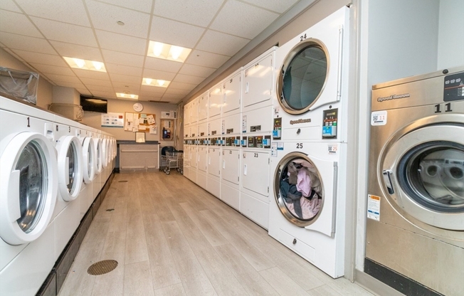 1 bed, 1 bath, 500 sqft, $2,550, Unit 309