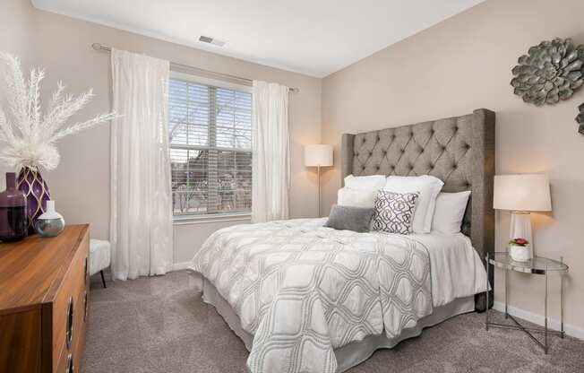 803 Corday at Naperville - Bedroom with Plush Carpeting, Beige Walls, and Window