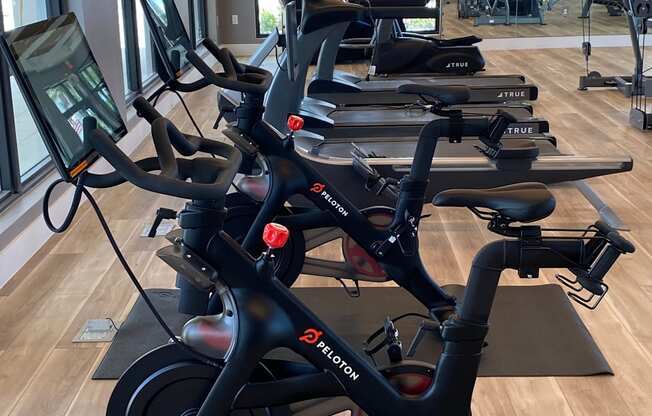 A row of exercise bikes are lined up in a gym at Portofino Vineyards Apartment, Fort Myers, Florida