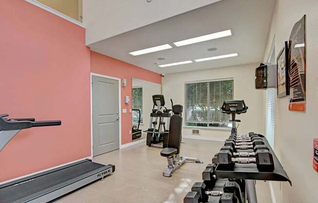 A modern fitness center here at Asbury Park featuring a clean, open layout with neutral flooring, coral accent walls, and large windows with blinds that bring in natural light, equipped with cardio machines, free weights on a rack, and strength training equipment, creating a functional and well-lit space for daily workouts.