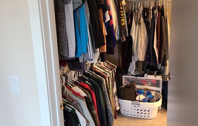 1 bed, 1 bath, 875 sqft, $1,490, Unit 303