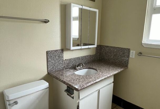 1 bed, 1 bath, 700 sqft, $1,595, Unit 119