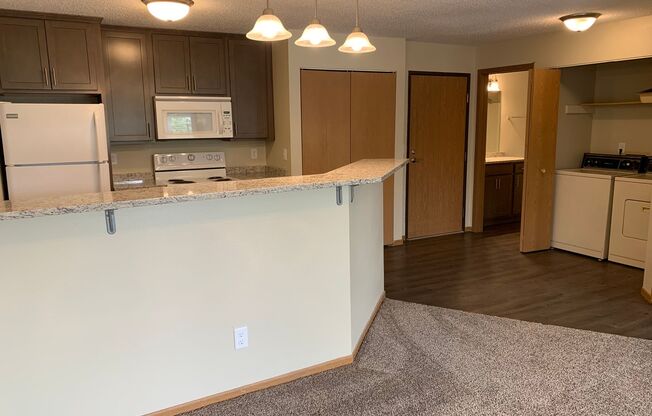 1 bed, 1 bath, 711 sqft, $1,165, Unit 3720203R