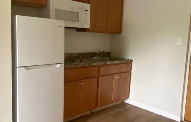 1 bed, 1 bath, 460 sqft, $1,150, Unit 207