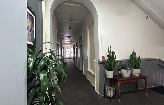 Studio, 1 bath, 300 sqft, $1,350, Unit 28