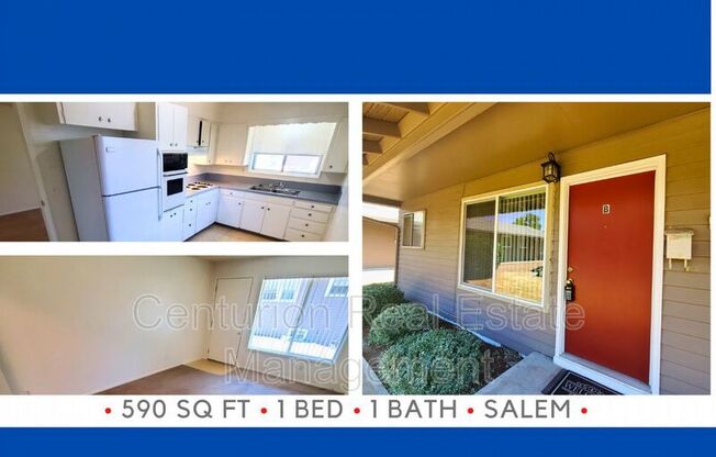 1 bed, 1 bath, 590 sqft, $1,125