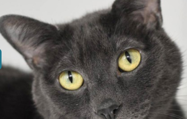 Studio, 1 bath, 620 sqft, $1,399, Unit 504