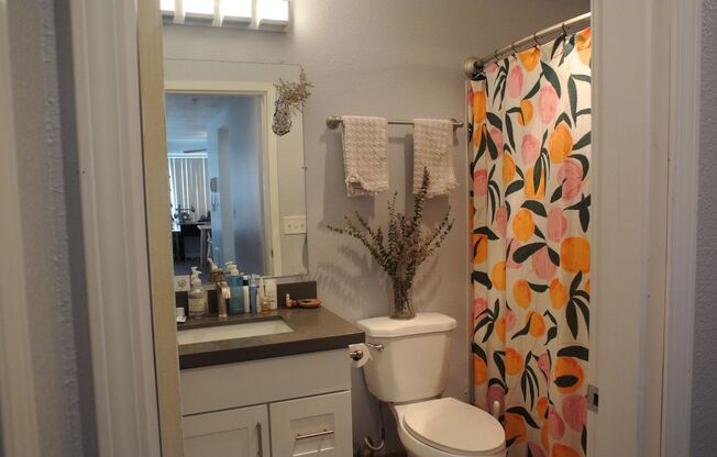 1 bed, 1 bath, 475 sqft, $1,850, Unit 203