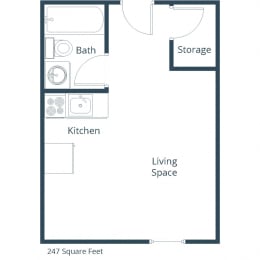 Studio, 1 bath, 247 sqft, $815
