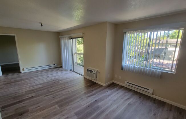 1 bed, 1 bath, 750 sqft, $2,500, Unit 202