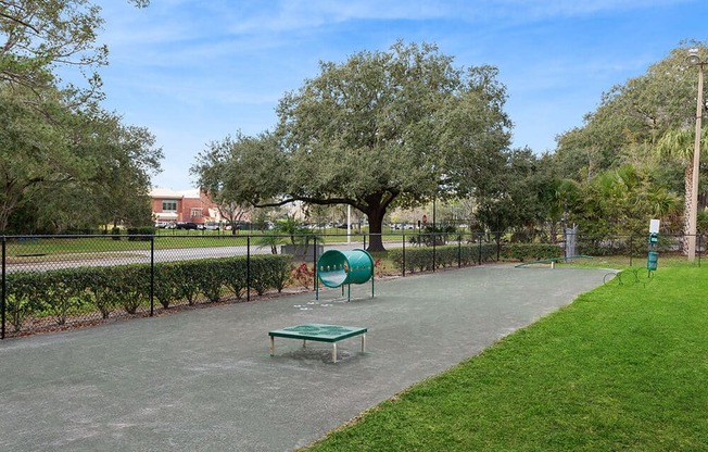 Community Dog Park with Agility Equipment at Seven Lakes at Carrollwood Apartments in Tampa, FL.