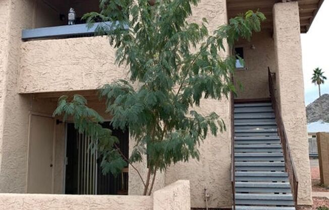 Nice 2 Bedroom in  Phoenix