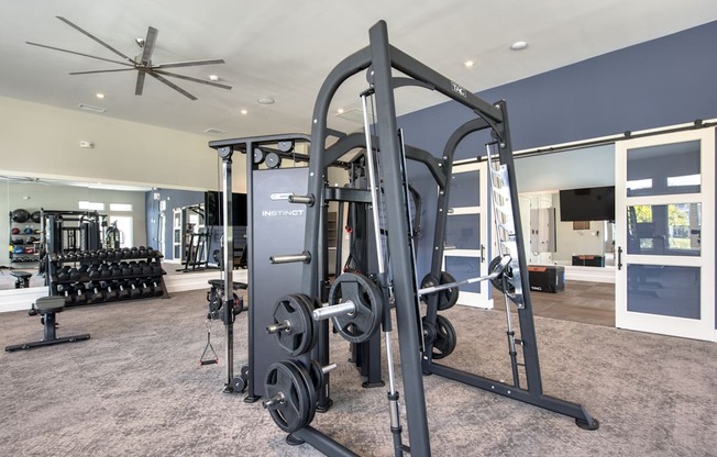 a gym with weights and cardio equipment in a house