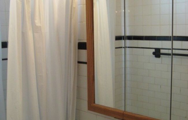 Studio, 1 bath, 450 sqft, $1,525, Unit 530-302