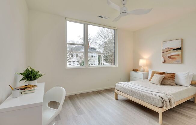 1 bed, 1 bath, 282 sqft, $825