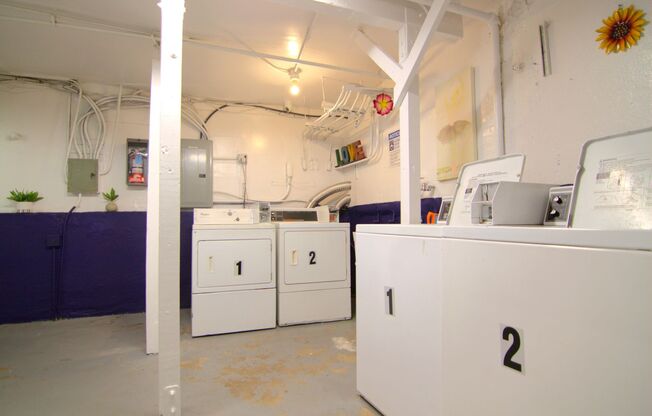 Studio, 1 bath, 450 sqft, $1,595, Unit Unit #101