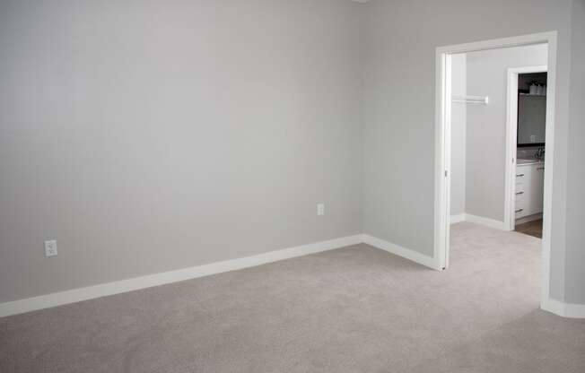 Marc 2 br master bedroom with walk-in closet and bath at Urban Park I and II Apartments, St Louis Park