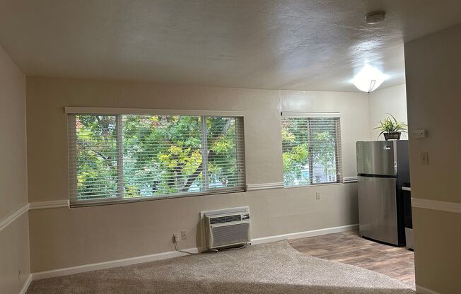 Studio, 1 bath, $1,425, Unit #211