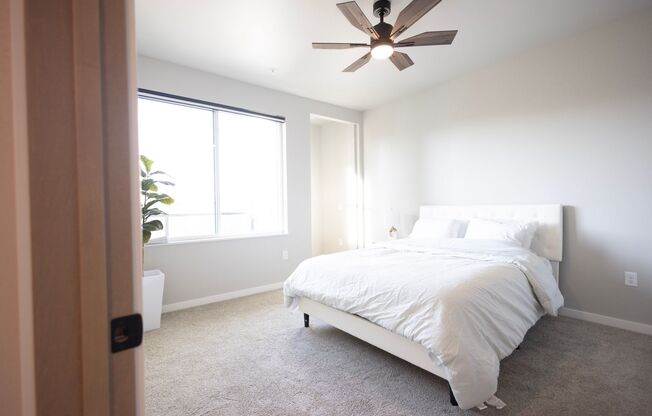 1 bed, 1 bath, 560 sqft, $1,595, Unit 312