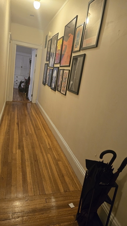 1986 Commonwealth Ave #4