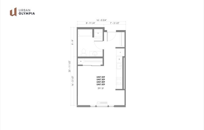 Studio, 1 bath, 391 sqft, $1,300, Unit 309