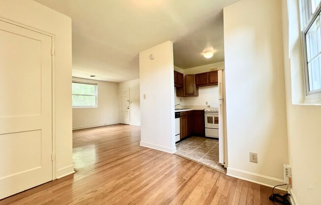 1 bed, 1 bath, 573 sqft, $850, Unit 314B Ash