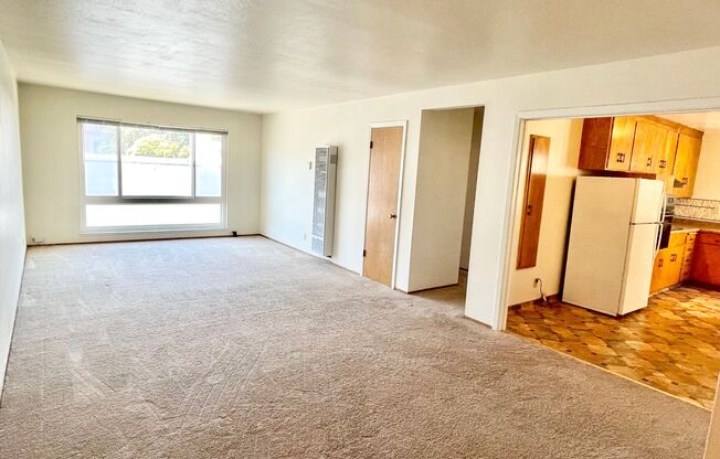 Spacious and Bright 1BR/1BA Top Floor Unit in the Mission!  Laundry! Parking!  PROGRESSIVE