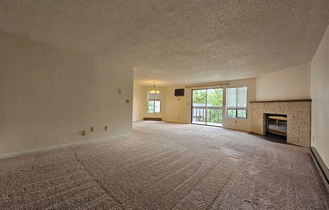 Spacious Condo on the South Hill