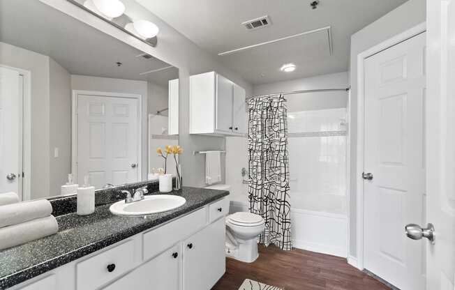 a bathroom with a sink and a toilet and a shower