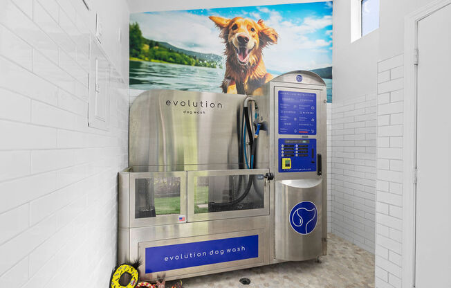 Self serve dog wash station
