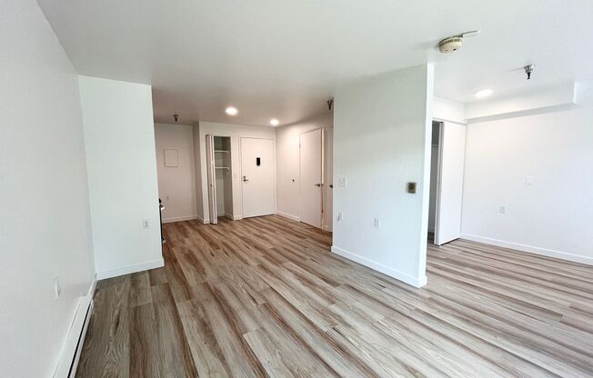 Studio, 1 bath, 480 sqft, $1,565, Unit 130