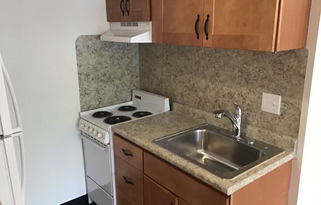 Studio, 1 bath, 384 sqft, $875, Unit FR31021