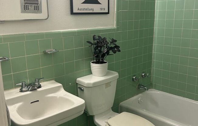 1 bed, 1 bath, 622 sqft, $1,085, Unit 202