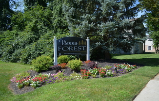 Vienna Forest Apartments &amp; Townhomes