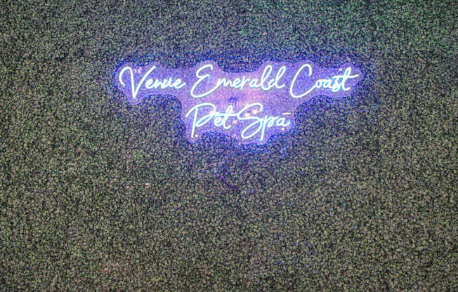 a neon sign that says venue emerald coast pet spa