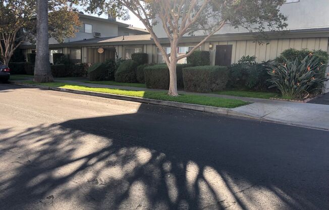 Olive Branch Apartments
