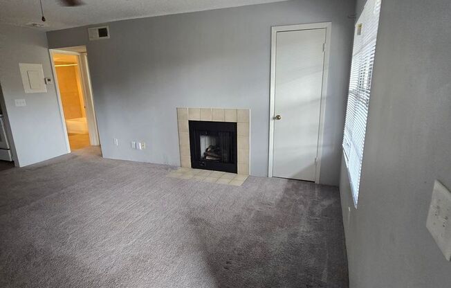 1 bed, 1 bath, $1,300