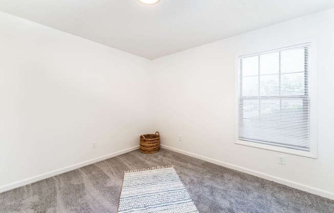 a living room with a window and a carpet