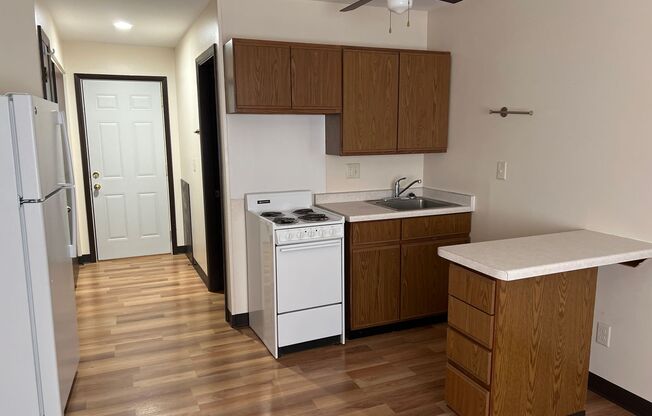 Studio, 1 bath, 525 sqft, $695, Unit 107