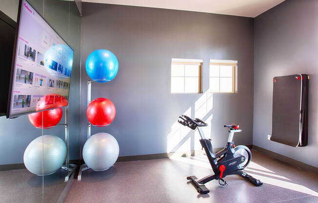 Yoga Studio with Mirror Wall, Stationary Bike and Large TV