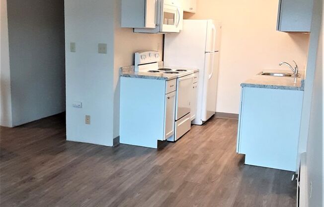 1 bed, 1 bath, 595 sqft, $1,275, Unit 217