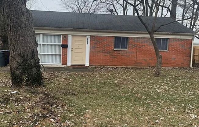 1081 BIRCH