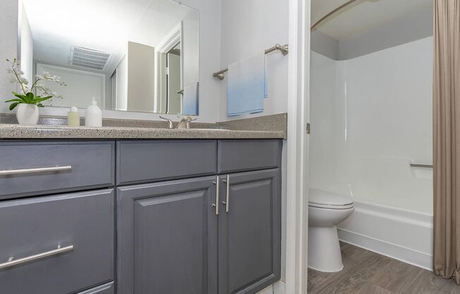 1 bed, 1 bath, 605 sqft, $1,150, Unit 314