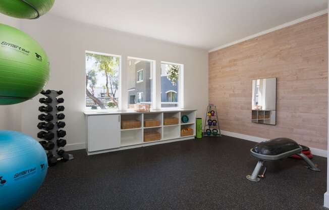 a workout room in a home with a yoga ball and exercise equipment