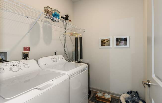 Utility Room at  Dunedin Commons Apartment Homes in Dunedin, Florida, FL
