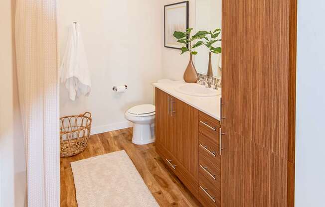 A bathroom with a toilet, sink, and a rug on the floor.